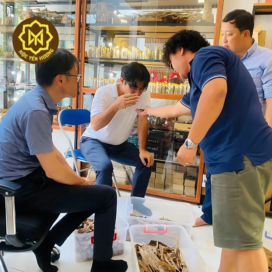Đặc điểm nhận diện Kỳ Nam