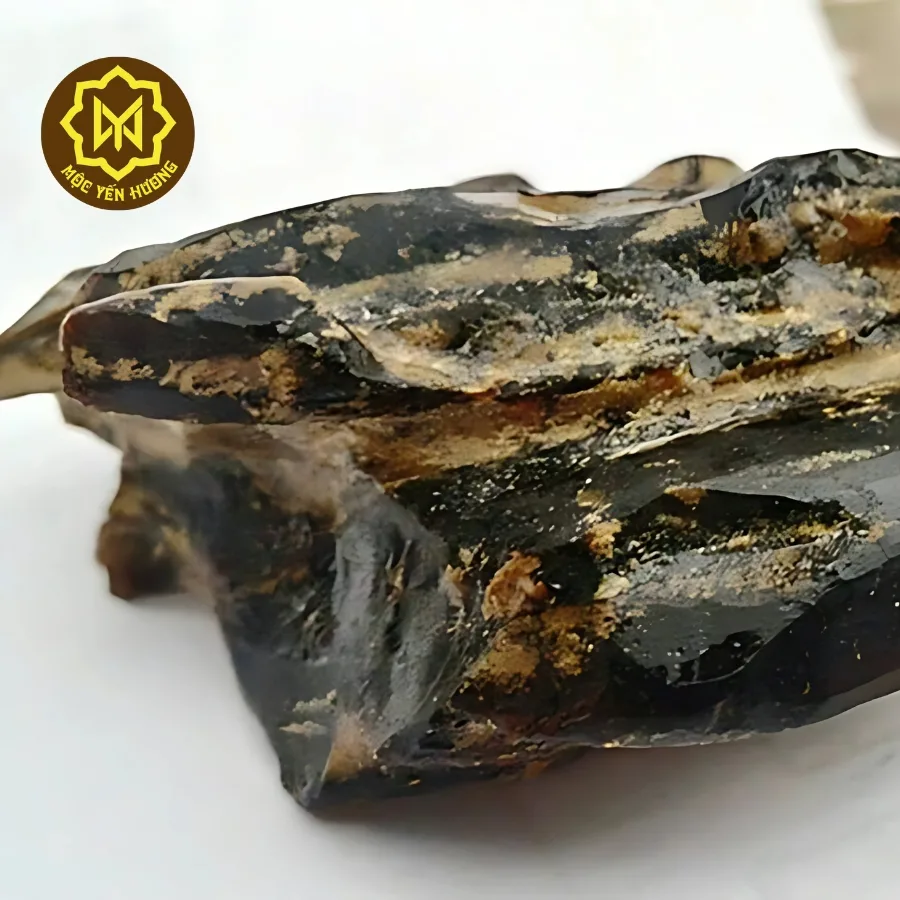 Kỳ Nam - Đột biến của cây Dó Bầu